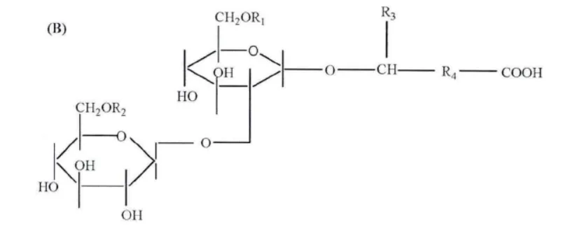 Microbial Surfactants: Sophorolipids 2 Figure 2: Acidic Sophorolipid Structure