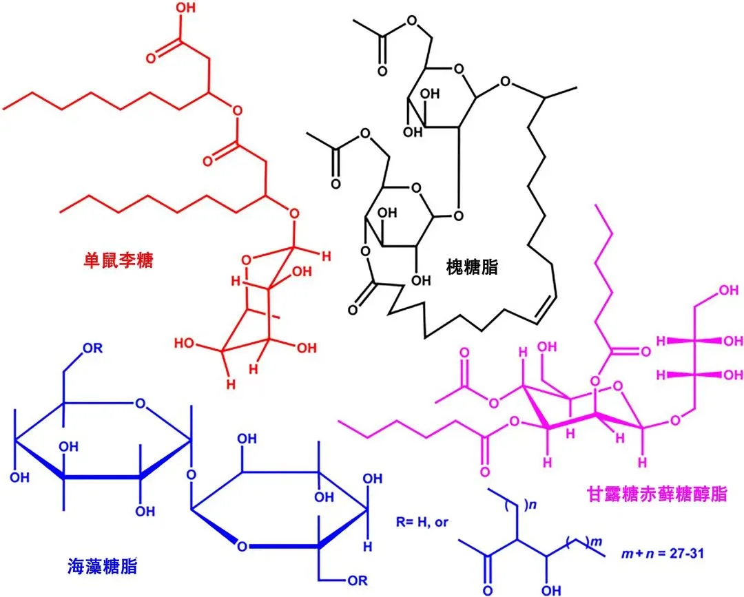 Figure 4: Sugar Ester Biosurfactants