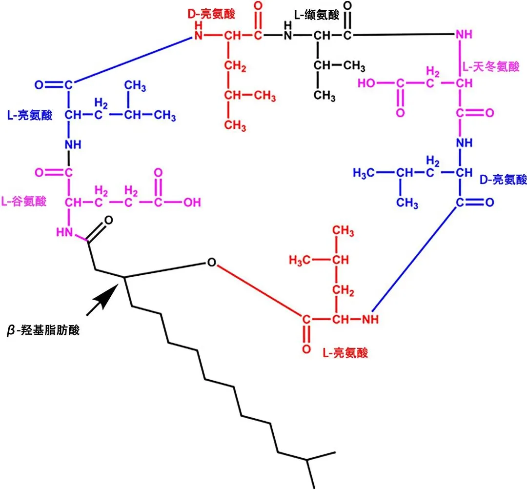 Figure 5: A Lipopeptide Biosurfactant