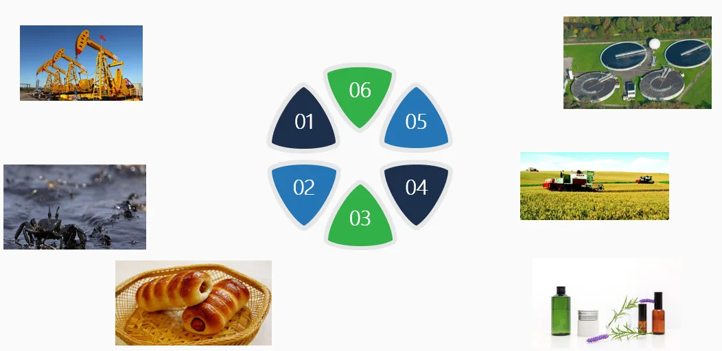 Green Surfactants: Rhamnolipids
