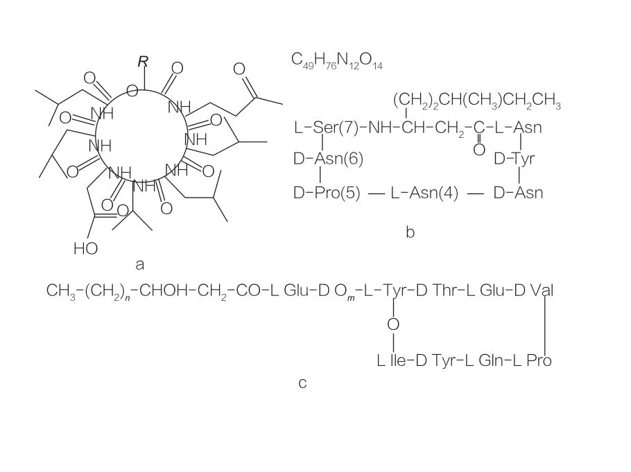 Fig.2: a) Surfactin; b iturin A3; c fengycin B